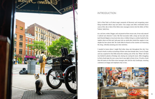 Shop Cats of New York (Revised and Expanded)
