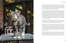 Alternative view 5 of Shop Cats of New York (Revised and Expanded)