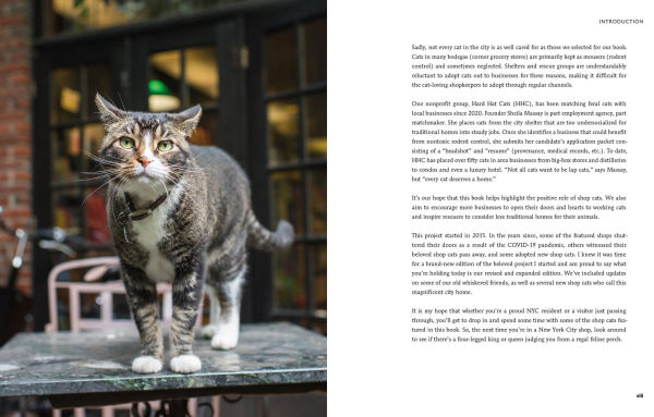 Shop Cats of New York (Revised and Expanded)