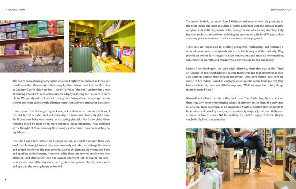 Shop Cats of New York (Revised and Expanded)