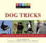 Knack Dog Tricks: A Step-by-Step Guide to Teaching Your Pet to Sit, Catch, Fetch, & Impress