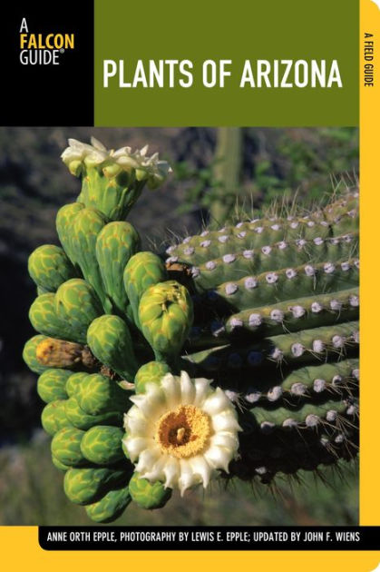 Plants of Arizona, 2nd by Anne Epple, John F. Dr. Wiens, Paperback ...