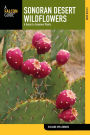Sonoran Desert Wildflowers