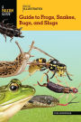 Basic Illustrated Guide to Frogs, Snakes, Bugs, and Slugs