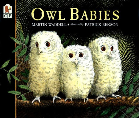 owl baby items