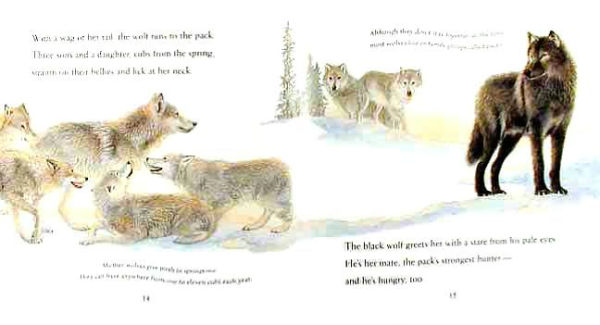 Walk with a Wolf (Read and Wonder Series)