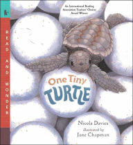 Free audiobook downloads for ipad One Tiny Turtle: Read and Wonder by Nicola Davies, Jane Chapman