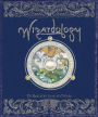 Wizardology: The Book of the Secrets of Merlin