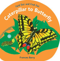 Title: Caterpillar to Butterfly: Fold Out and Find Out, Author: Frances Barry