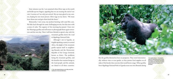 Breakfast in the Rainforest: A Visit with Mountain Gorillas