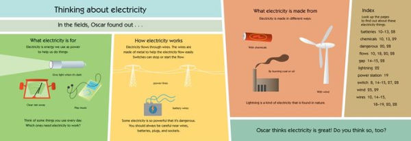 Oscar and the Bird: A Book about Electricity