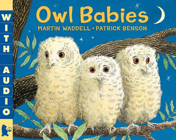 Owl Babies