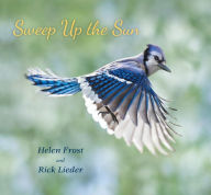 Title: Sweep Up the Sun, Author: Helen Frost