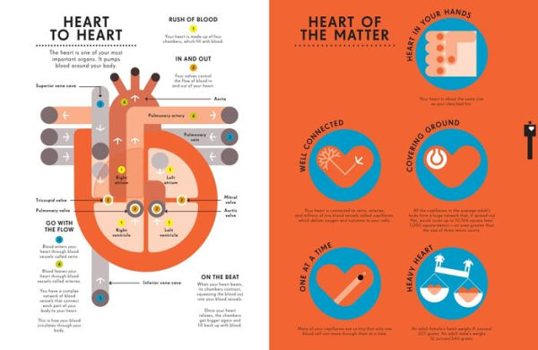 Information Graphics: Human Body
