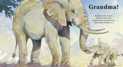 Alternative view 2 of Grandma Elephant's in Charge: Read and Wonder