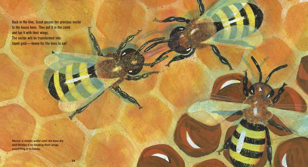 Flight of the Honey Bee: Read and Wonder