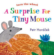 Title: A Surprise for Tiny Mouse, Author: Petr Horacek