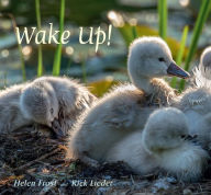 Title: Wake Up!, Author: Helen Frost