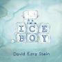 Ice Boy