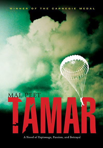 Tamar: A Novel of Espionage, Passion, and Betrayal