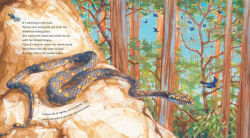 Alternative view 2 of Python: Read and Wonder