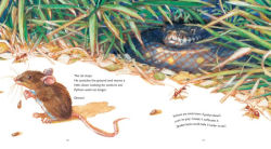 Alternative view 3 of Python: Read and Wonder