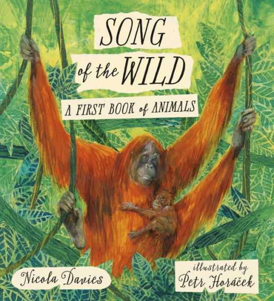 Song of the Wild: A First Book of Animals