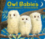 Owl Babies Lap-Size Board Book