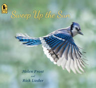 Title: Sweep Up the Sun, Author: Helen Frost