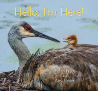 Title: Hello, I'm Here!, Author: Helen Frost