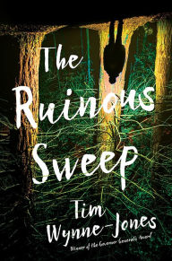 Title: The Ruinous Sweep, Author: Tim Wynne-Jones