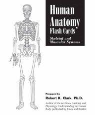 Title: Human Anatomy Flash Cards: Skeletal and Muscular Systems / Edition 1, Author: Robert K. Clark