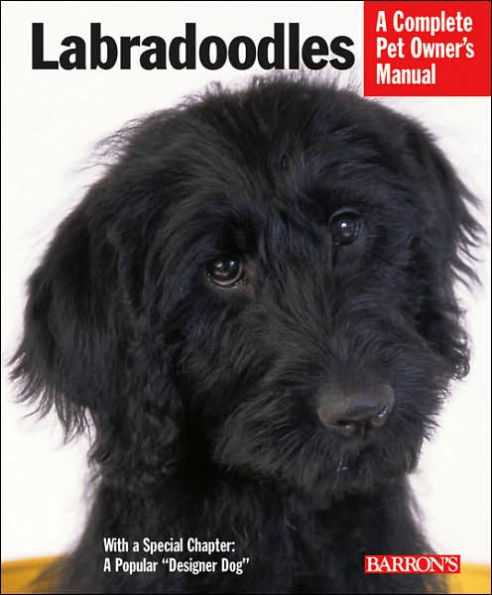 Labradoodles