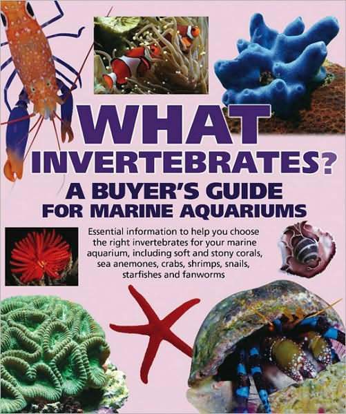 What Invertebrates?: A Buyer's Guide for Marine Aquariums (What Pet ...