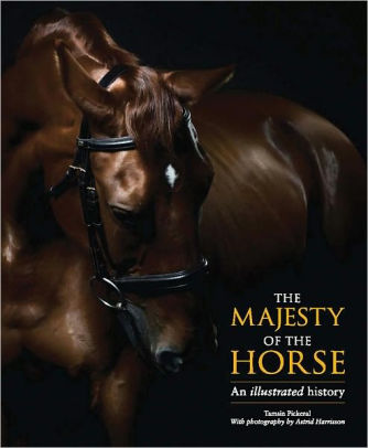 The Majesty Of The Horse An Illustrated History By Tamsin