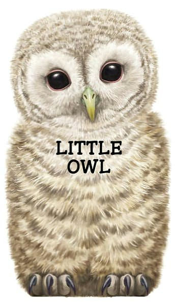 Little Owl by L. Rigo, Board Book | Barnes & Noble®