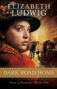 Title: Dark Road Home, Author: Elizabeth Ludwig