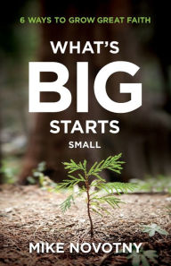Free ebooks for ipod touch to download What's Big Starts Small: 6 Ways to Grow Great Faith English version by Mike Novotny 