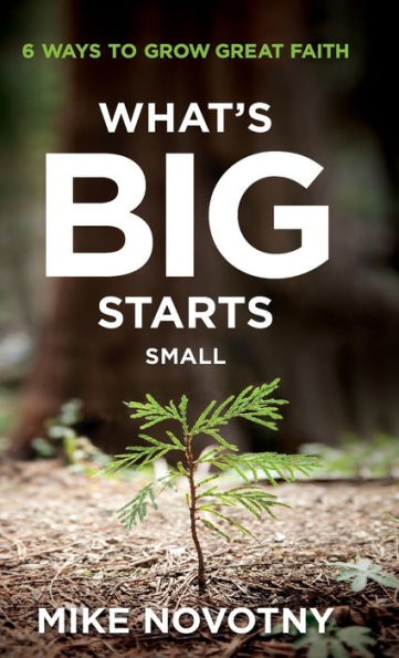 What's Big Starts Small