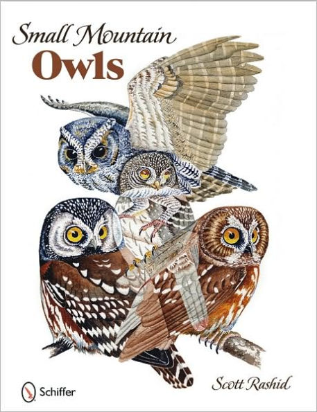 Small Mountain Owls