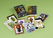 Alternative view 2 of Nature's Wisdom Oracle: (Oracle Kit Box Set with 48 Cards and Guide Book)