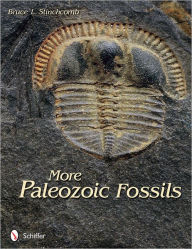 Title: More Paleozoic Fossils, Author: Bruce L. Stinchcomb