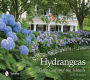 Hydrangeas: Cape Cod and the Islands