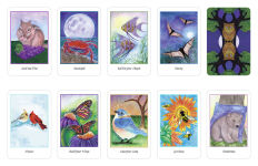 Alternative view 4 of Higher Intuitions Oracle: (Oracle Kit Box Set with 44 Cards and Guide Book)