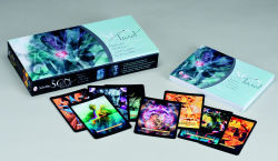 Alternative view 6 of The Son Tarot: Mysticism, Meditation, and Divination for Gay Men (Tarot Kit Box Set with 78 Cards and Guide Book)