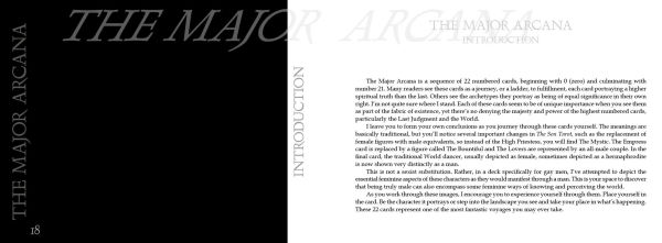 The Son Tarot: Mysticism, Meditation, and Divination for Gay Men (Tarot Kit Box Set with 78 Cards and Guide Book)