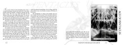Alternative view 9 of The Son Tarot: Mysticism, Meditation, and Divination for Gay Men (Tarot Kit Box Set with 78 Cards and Guide Book)