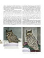 Alternative view 5 of The Great Horned Owl: An In-depth Study