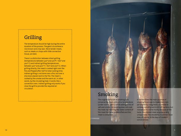 The Little Smoker Book: Getting Into the Top Level of Grilling