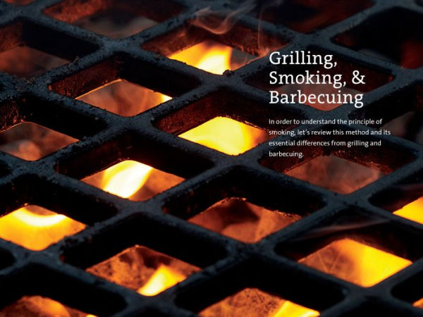 The Little Smoker Book: Getting Into the Top Level of Grilling
